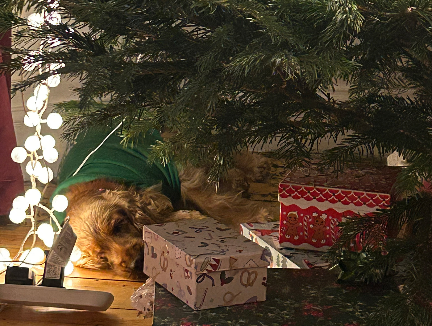 Christmas tree